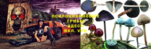 первитин Алексеевка