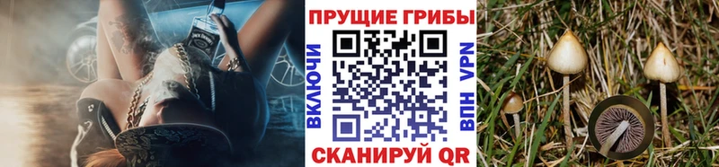 Галлюциногенные грибы мицелий  Феодосия 